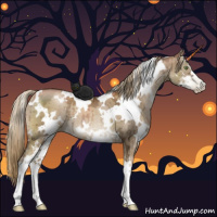 Horse Color:Gray White Spotted Liver Red Dun Ice Pearl Sabino Brindle 