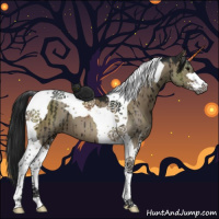 Horse Color:Gray Brown Dun Sabino Tobiano Brindle 