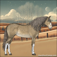 Horse Color:Chocolate Palomino Dun Mushroom 