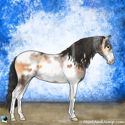 Horse Color:Plaid  Brown Onyx Sabino Tobiano Frame 