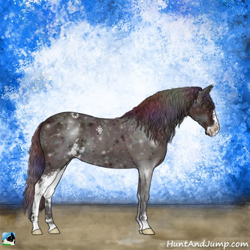 Horse Color:Nacre Midnight Bay Ice Sabino