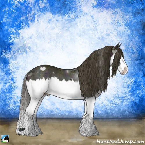 Horse Color:Midnight Buckskin Ice Sabino Splash 