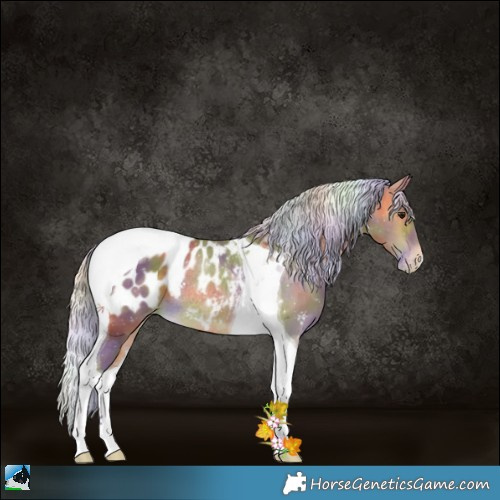 Horse Color:Nacre Silver Buckskin Tobiano Appaloosa Rabicano