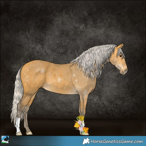 Horse Color:Silver Buckskin
