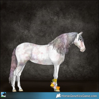 Horse Color:Nacre Bay Ice Onyx Tobiano Appaloosa 