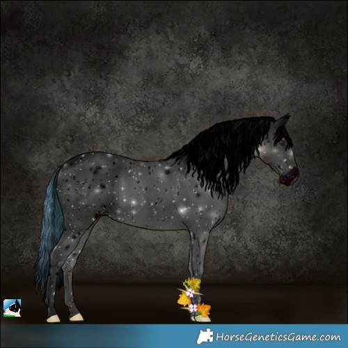 Horse Color:ERROR: UNKNOWN ANOMALY