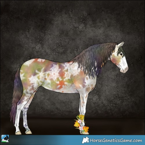 Horse Color:Nacre Buckskin Ice Sabino