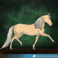 Horse Color:Palomino 