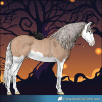 Horse Color:Silver Bay Ice Dun Splash Rabicano