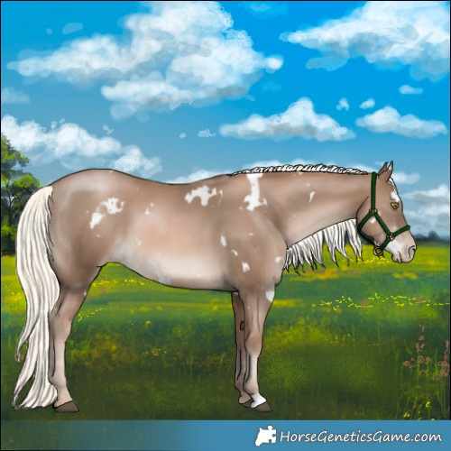 Horse Color:White Spotted Liver Chestnut Pearl Mushroom 