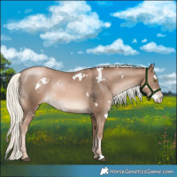 Horse Color:White Spotted Liver Chestnut Pearl Mushroom 