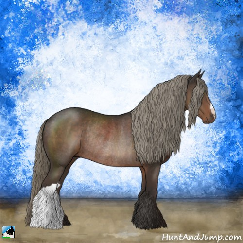 Horse Color:Liver Chestnut Mushroom Rabicano 