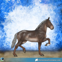 Horse Color:Liver Chestnut Mushroom Rabicano 