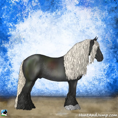 Horse Color:Liver Chestnut Mushroom Rabicano 