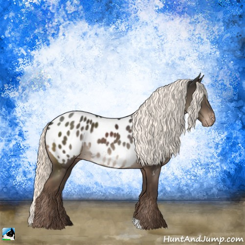 Horse Color:Liver Chestnut Mushroom Appaloosa Rabicano 