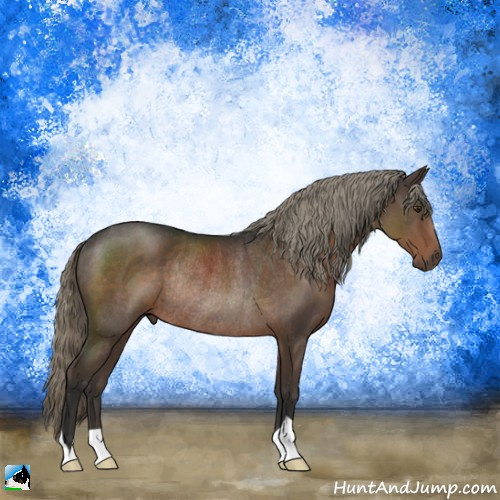 Horse Color:Liver Chestnut Mushroom Rabicano 