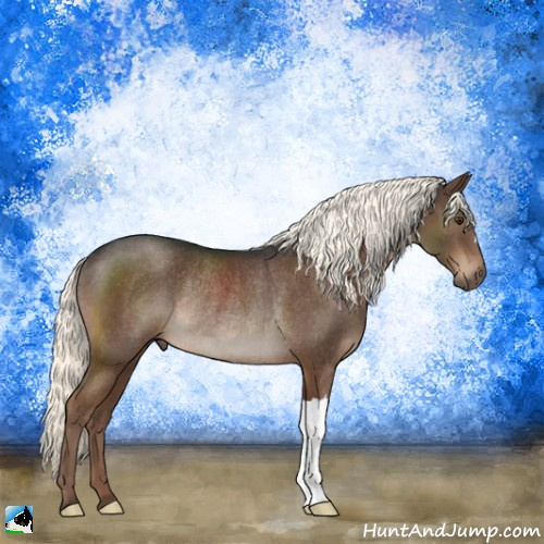 Horse Color:Liver Chestnut Mushroom Rabicano 
