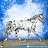 Horse Color:White Spotted Midnight Liver Chestnut Mushroom Near Leopard