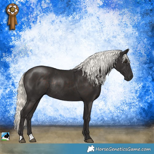 Horse Color:Liver Chestnut Mushroom Rabicano 