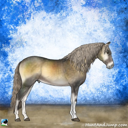 Horse Color:Chocolate Palomino Onyx Mushroom Tobiano Rabicano 
