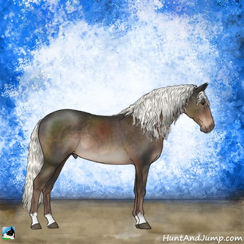 Horse Color:Liver Chestnut Mushroom Rabicano 