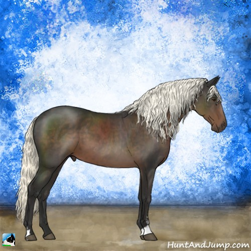 Horse Color:Liver Chestnut Mushroom Sabino 