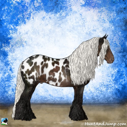 Horse Color:Liver Chestnut Ice Mushroom Appaloosa Rabicano 