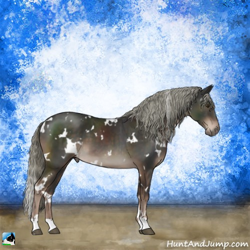 Horse Color:White Spotted Liver Chestnut Mushroom 