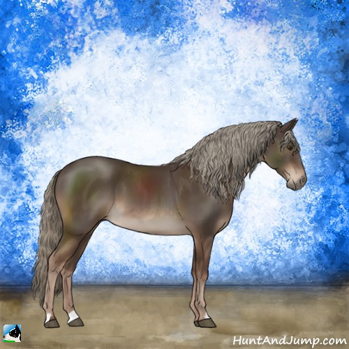 Horse Color:Liver Chestnut Mushroom 