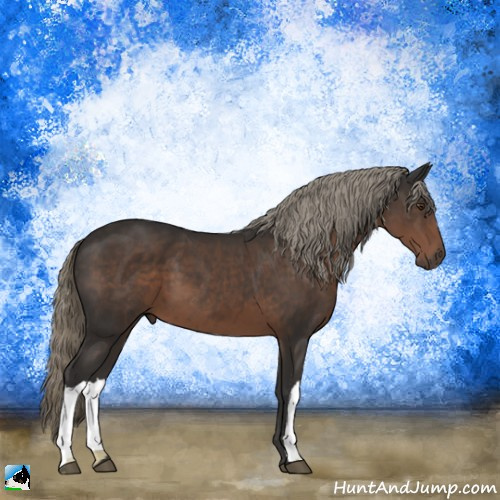 Horse Color:Liver Chestnut Mushroom 