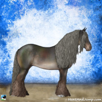 Horse Color:Liver Chestnut Mushroom Rabicano 