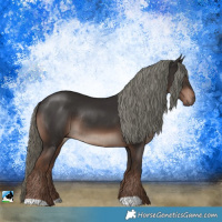 Horse Color:Liver Chestnut Mushroom Rabicano 
