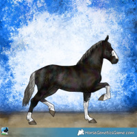 Horse Color:Midnight Liver Red Onyx Ice Mushroom Rabicano