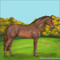 Horse Color:Red Roan 