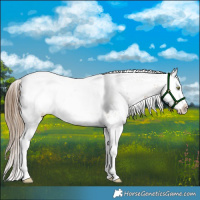 Horse Color:White Spotted Liver Chestnut Pearl Sabino 