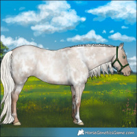 Horse Color:White Spotted Liver Red Dun Roan Pearl Mushroom 