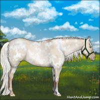 Horse Color:White Spotted Liver Red Dun Roan Pearl Mushroom