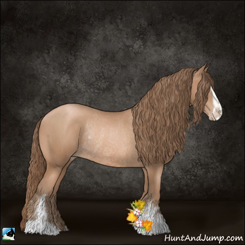 Horse Color:Black Pearl Sabino Rabicano