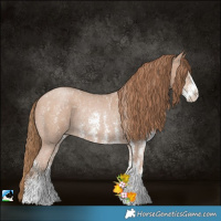 Horse Color:Black Pearl Sabino Rabicano