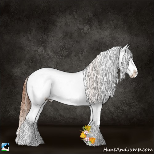 Horse Color:Bay Pearl Onyx Sabino 