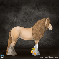Horse Color:Bay Pearl 