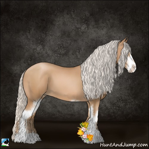 Horse Color:Silver Black Pearl Sabino 