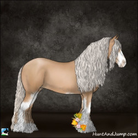 Horse Color:Silver Black Pearl Sabino 