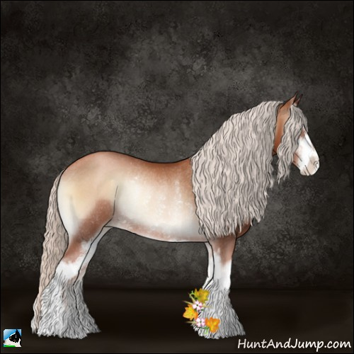 Horse Color:Silver Brown Pearl Onyx Sabino Rabicano 