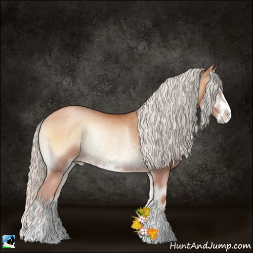 Horse Color:Silver Bay Pearl Onyx Sabino Rabicano 