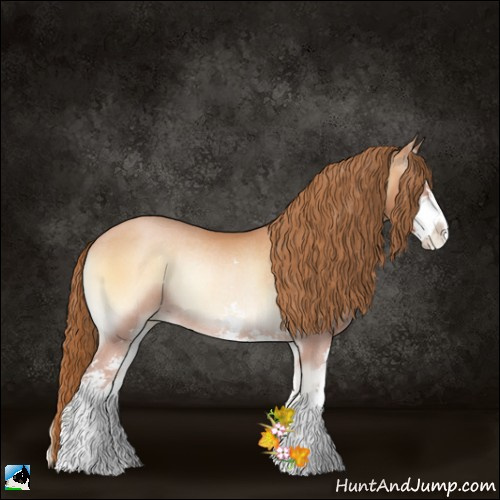 Horse Color:Bay Pearl Onyx Sabino Rabicano 