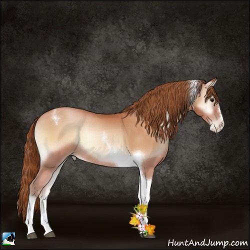 Horse Color:Bay Pearl Onyx Sabino Tobiano Rabicano 