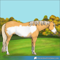 Horse Color:Palomino Frame 