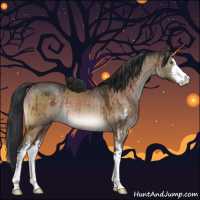 Horse Color:Brown Dun Sabino Brindle