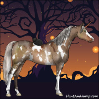 Horse Color:White Spotted Silver Brown Dun